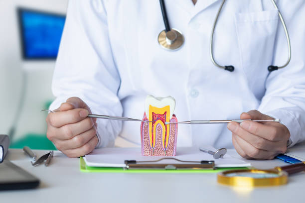Best Pediatric Emergency Dentist in Cooper, TX